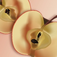 Apple Halves